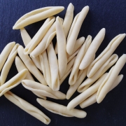 Caserecci Pasta