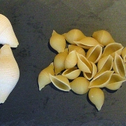 Conchiglioni, Conchiglette & Conchiglie Pastas