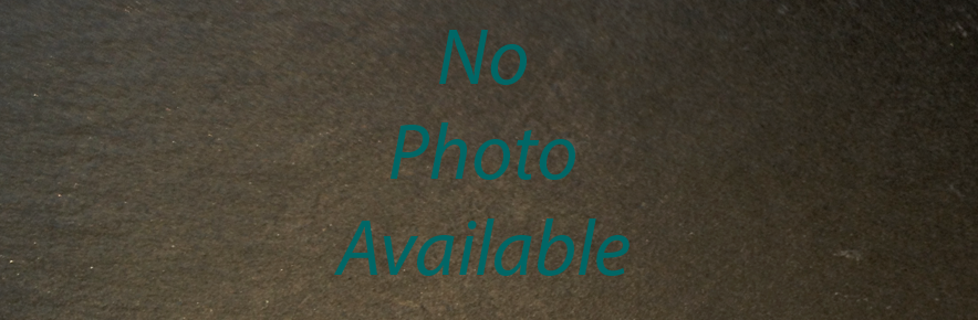 No Photo Available